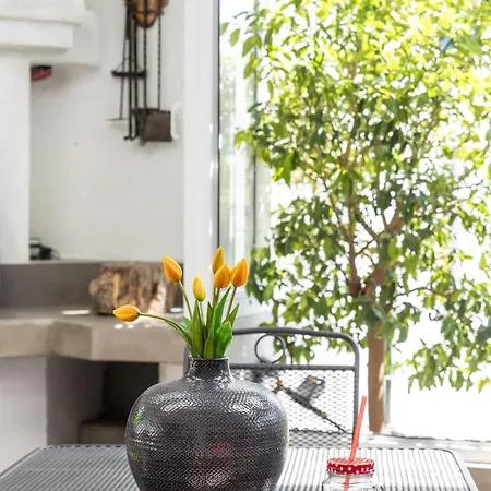 Apartament Marjan Forest Dream *