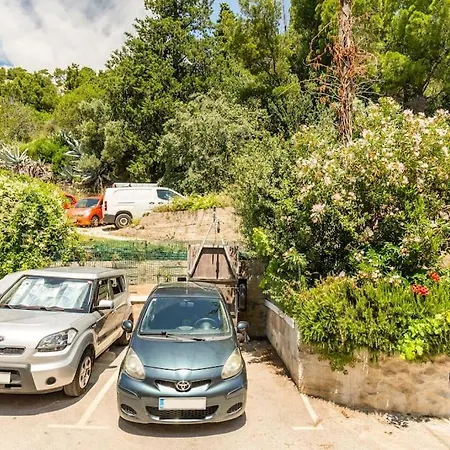 Marjan Forest Dream Split