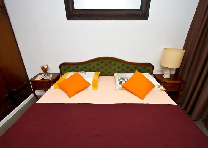 Marjan Forest Dream *