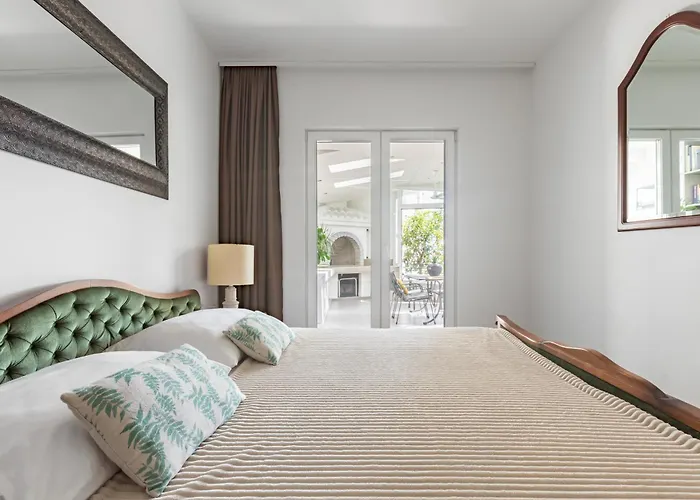 Marjan Forest Dream *