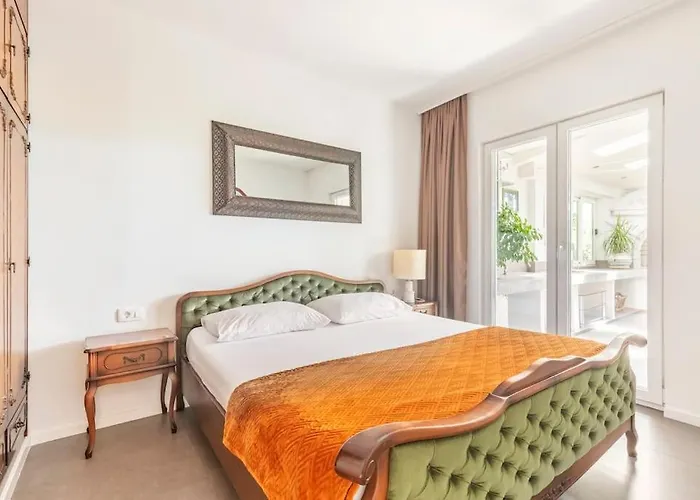 Marjan Forest Dream *